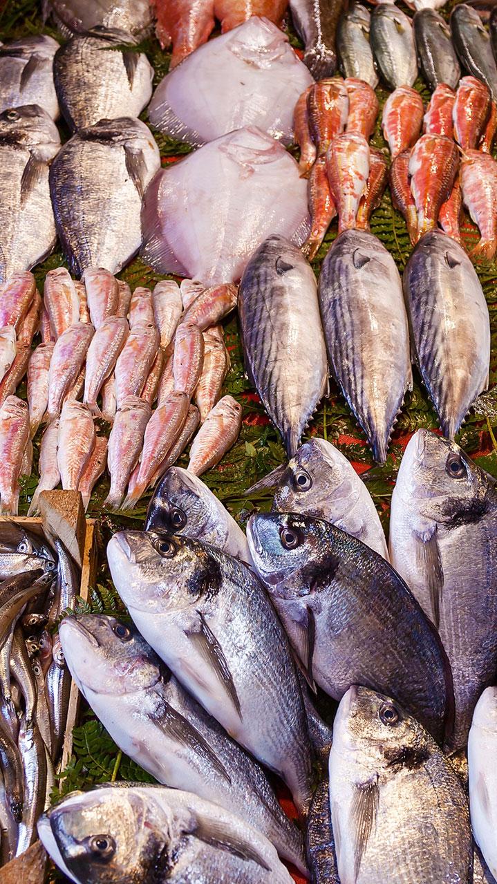 Votre partenaire<br>destockage des<br>produits de la mer.